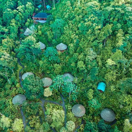 Luna Lodge Carate エクステリア 写真
