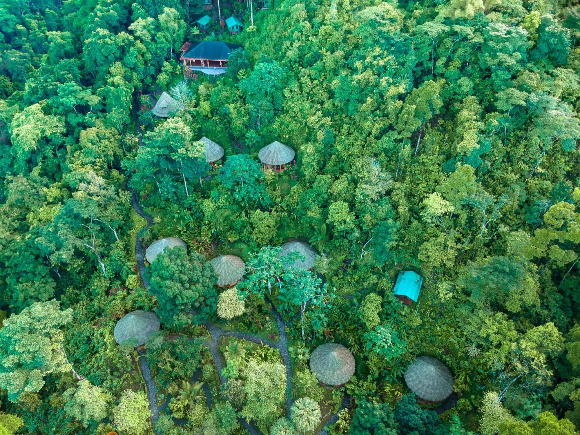 Luna Lodge Carate エクステリア 写真